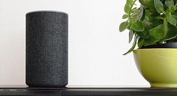 Smart Home Voice Assistant Amazon Echo Alexa